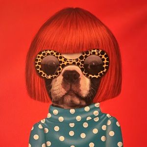 Meet your Posher, Clementine’s Closet